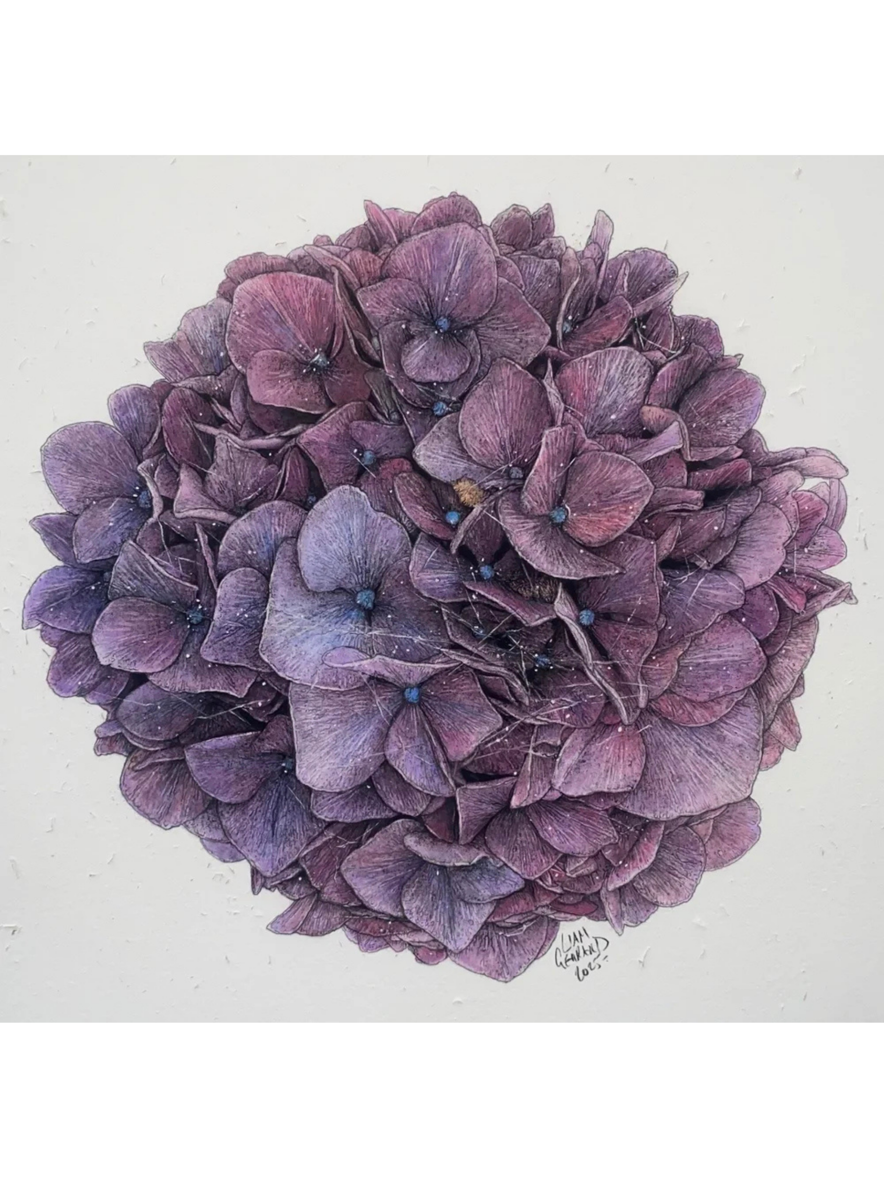 Liam Gerrard, Waiau Rd, Waihi, 2025