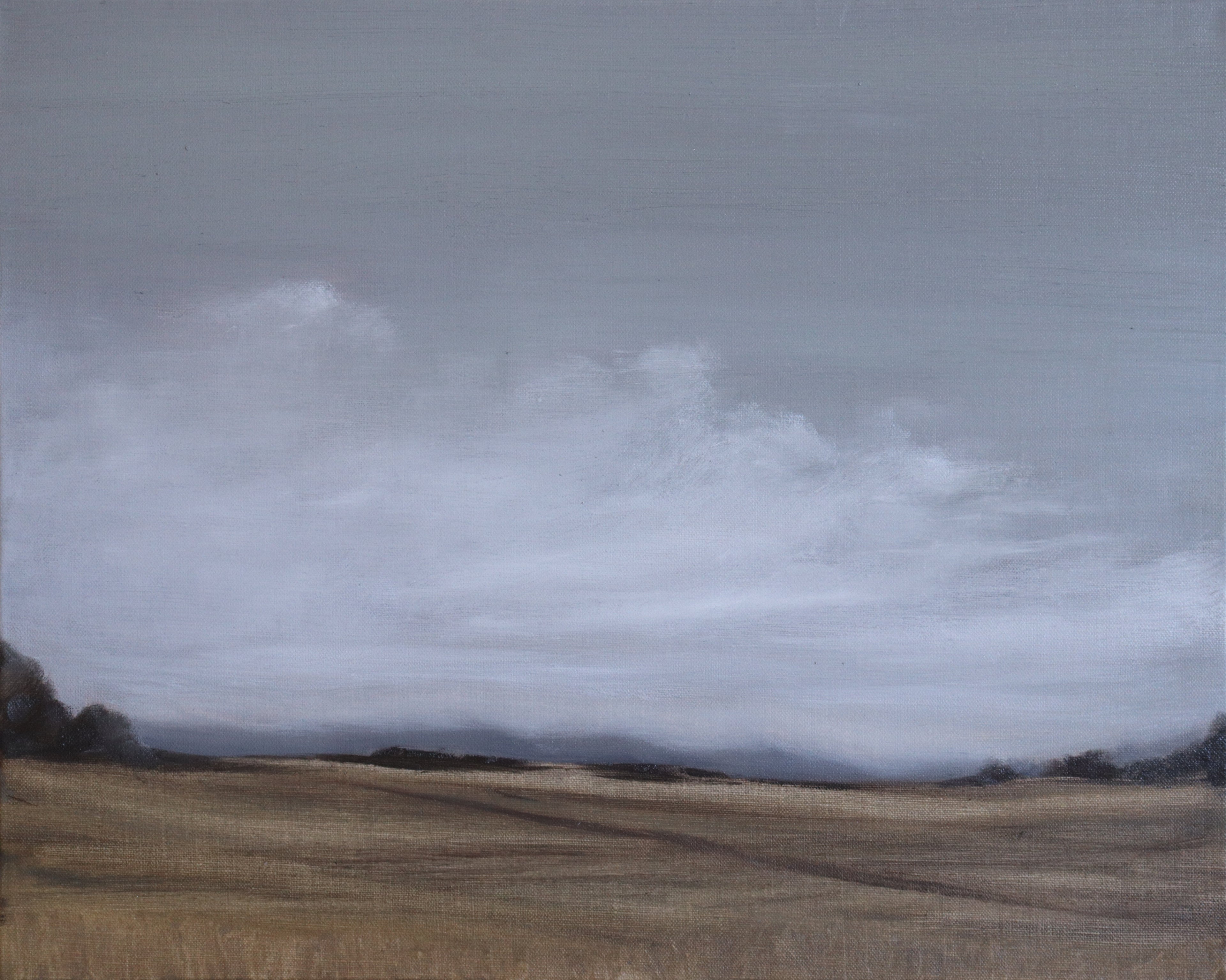 Wheat field under a cloudy sky