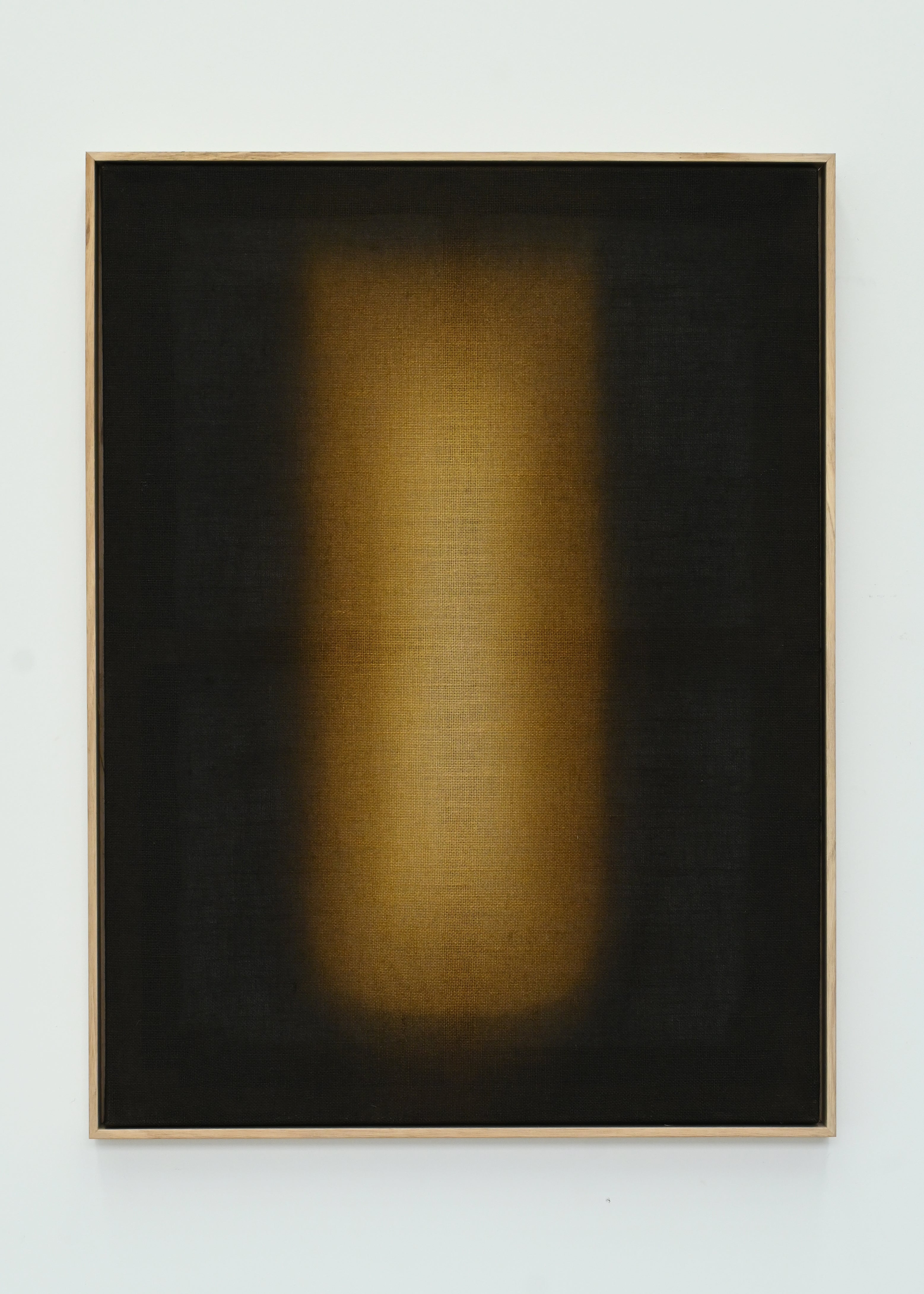 Ksenia Shinkarenko, Last Light