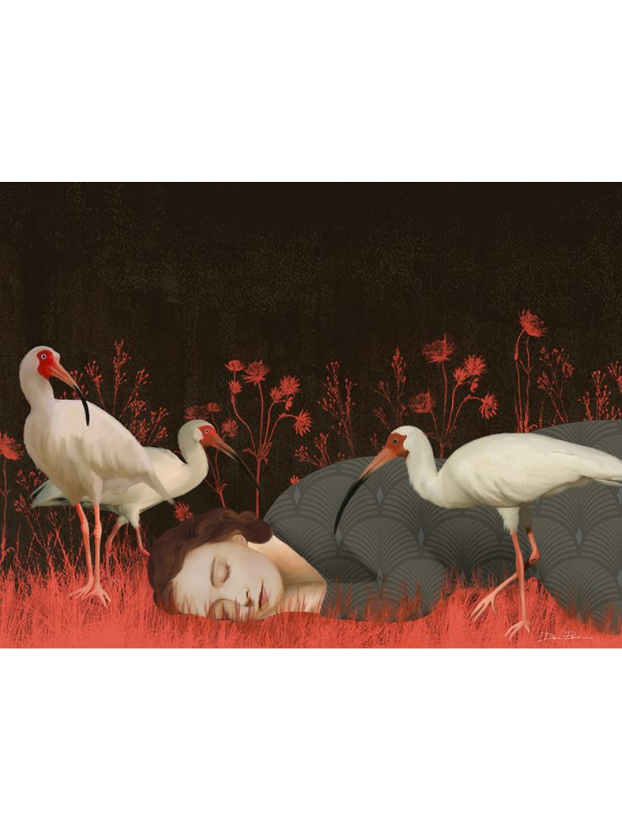 Daria Petrilli, The Dreamer